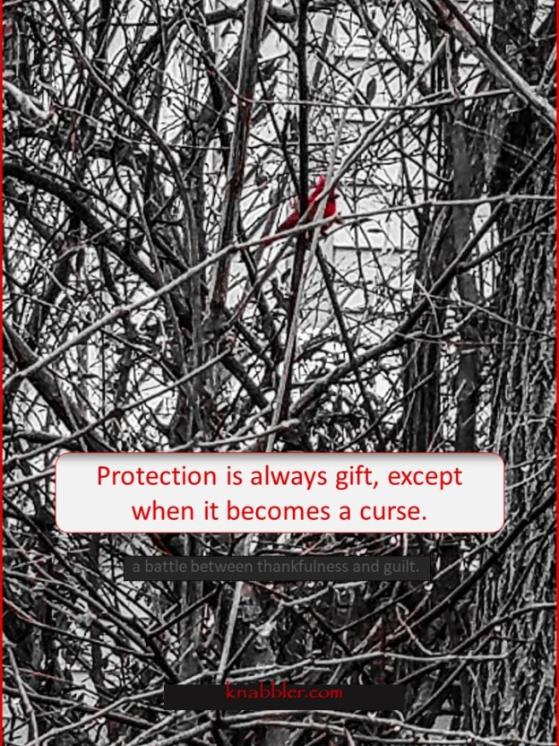 2020 01 14 Protection is always gift, except when it jakorte